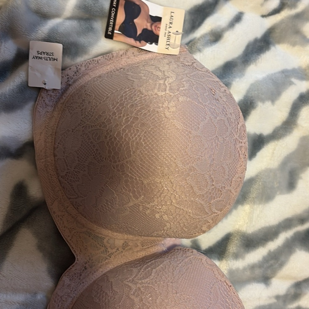 Laura Ashley Soft Pink Lace Bra